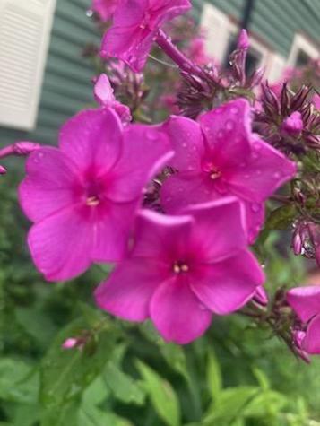 443 Unity Road Albion ME 04910