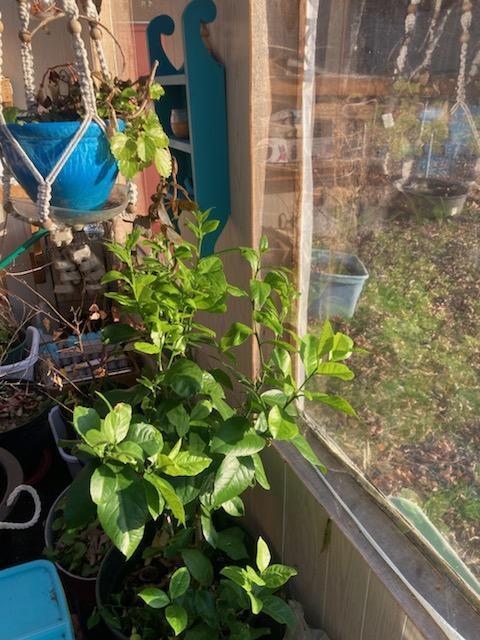 443 Unity Road Albion ME 04910