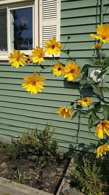 443 Unity Road Albion ME 04910