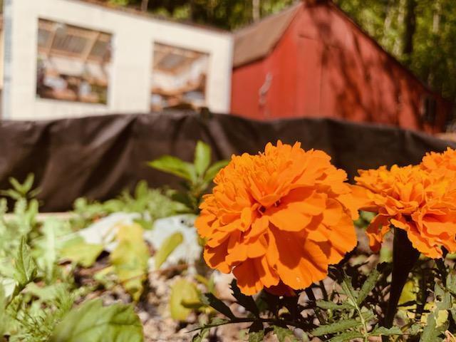 443 Unity Road Albion ME 04910