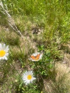 443 Unity Road Albion ME 04910