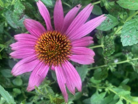 443 Unity Road Albion ME 04910