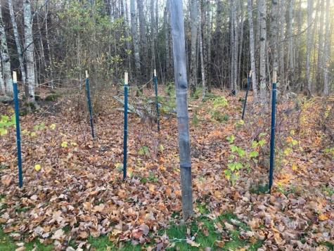 443 Unity Road Albion ME 04910