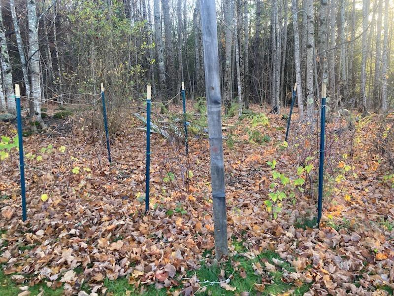 443 Unity Road Albion ME 04910