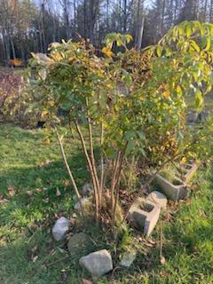 443 Unity Road Albion ME 04910