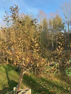 443 Unity Road Albion ME 04910