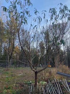 443 Unity Road Albion ME 04910