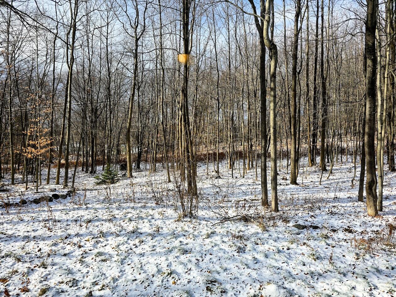 42 Western Avenue East Millinocket ME 04430