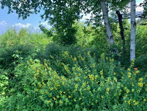 270 Shattuck Road Calais ME 04619