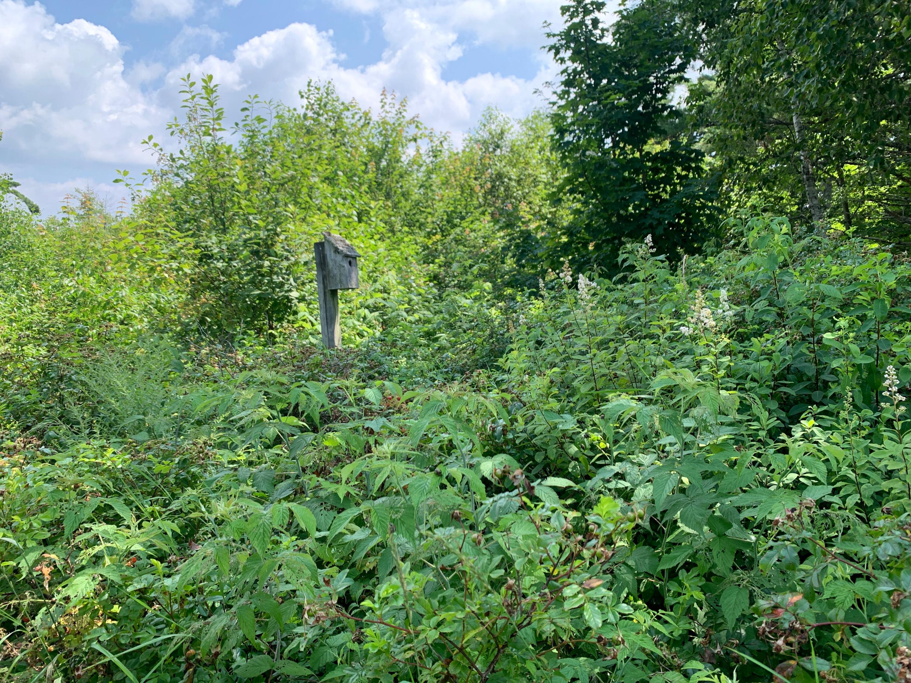 270 Shattuck Road Calais ME 04619