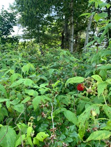 270 Shattuck Road Calais ME 04619