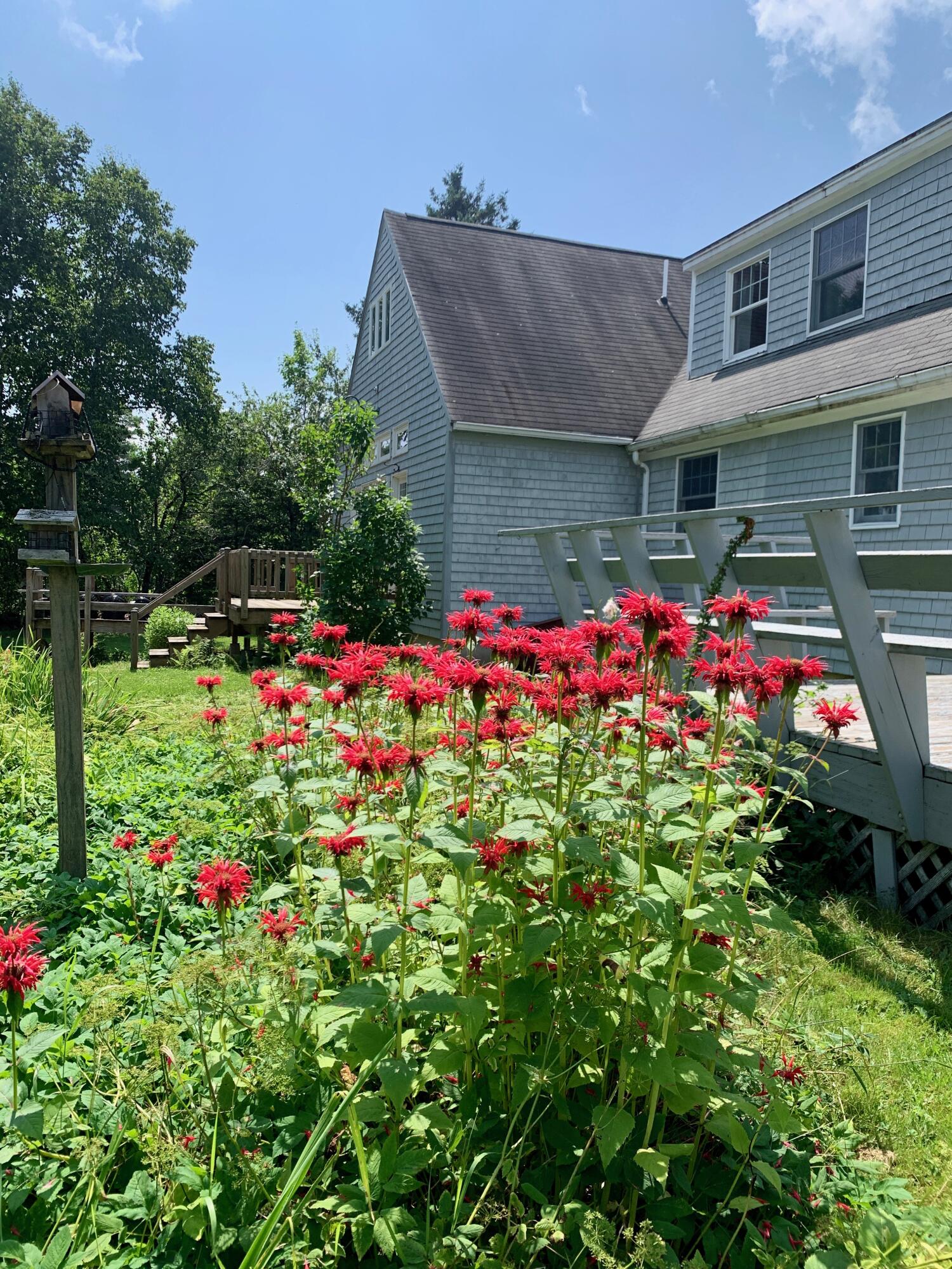 270 Shattuck Road Calais ME 04619