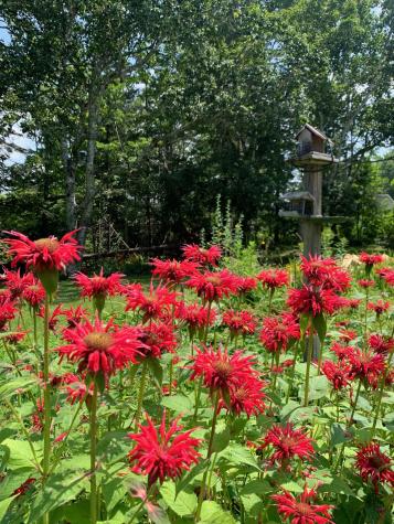 270 Shattuck Road Calais ME 04619