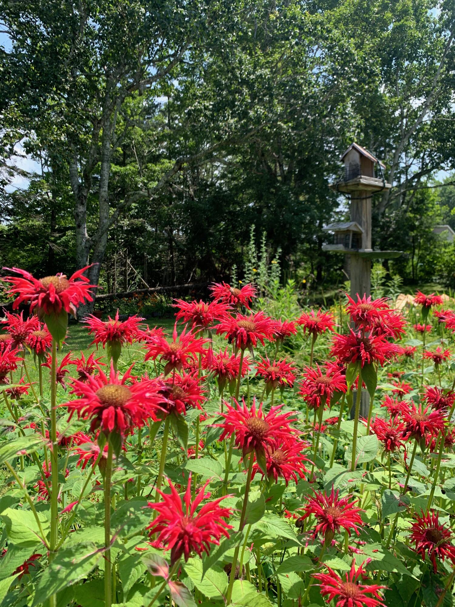 270 Shattuck Road Calais ME 04619