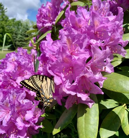 270 Shattuck Road Calais ME 04619