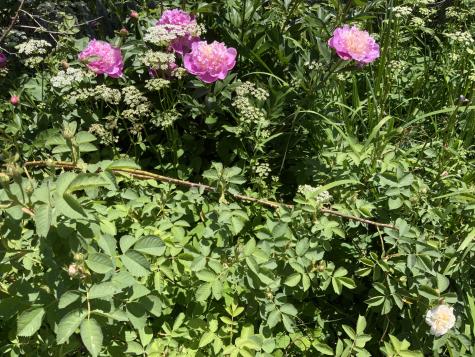 270 Shattuck Road Calais ME 04619