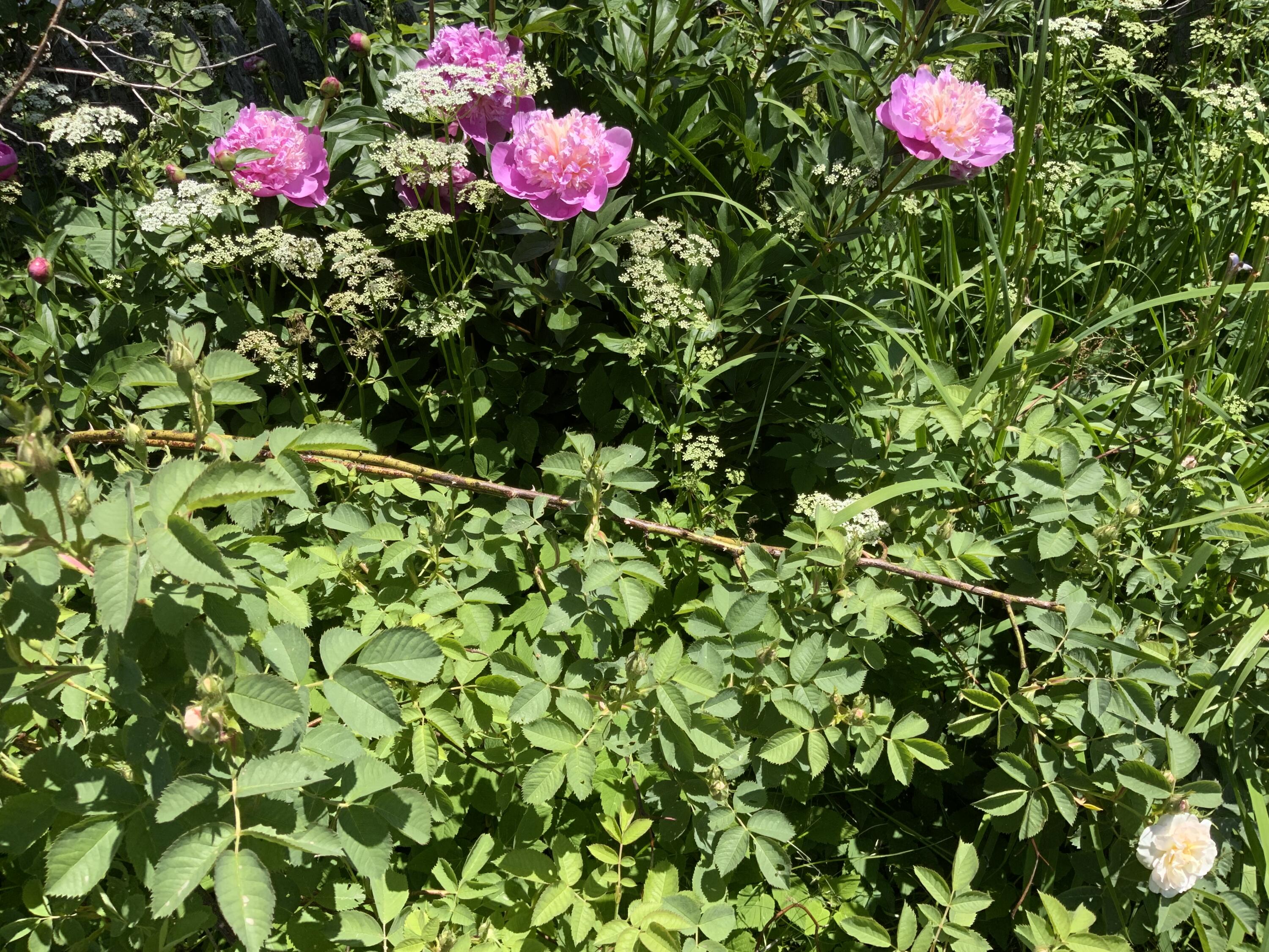 270 Shattuck Road Calais ME 04619