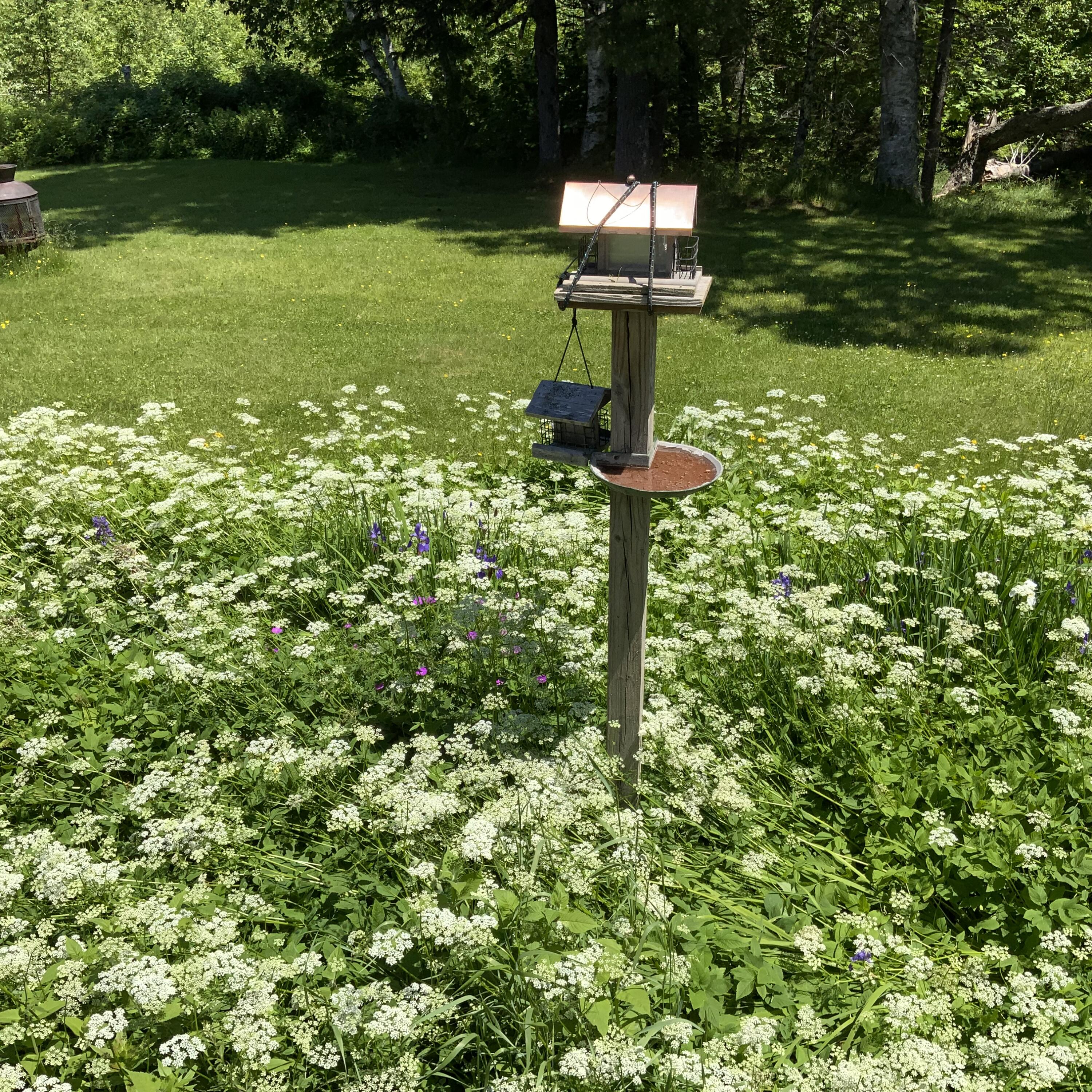 270 Shattuck Road Calais ME 04619