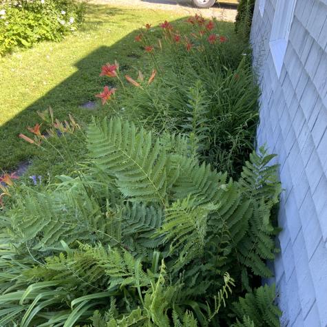 270 Shattuck Road Calais ME 04619