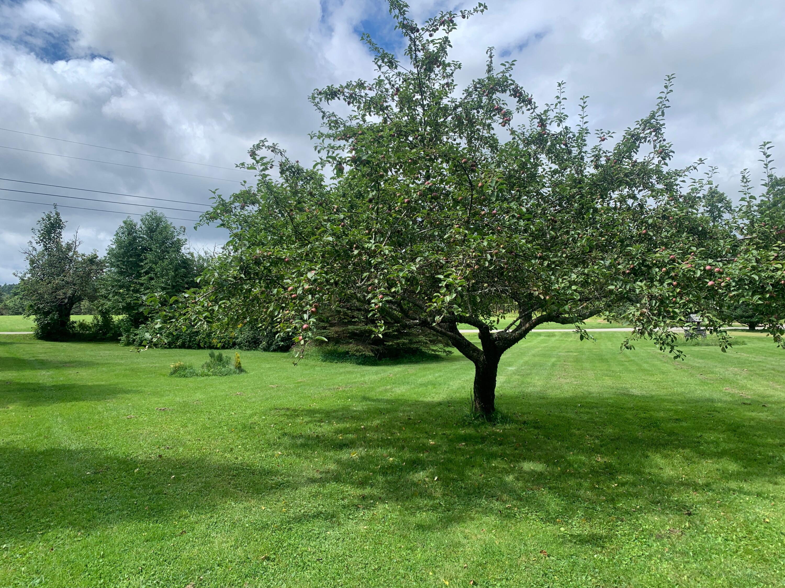 270 Shattuck Road Calais ME 04619