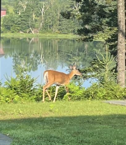 52 Boulder Cove Way Lamoine ME 04605