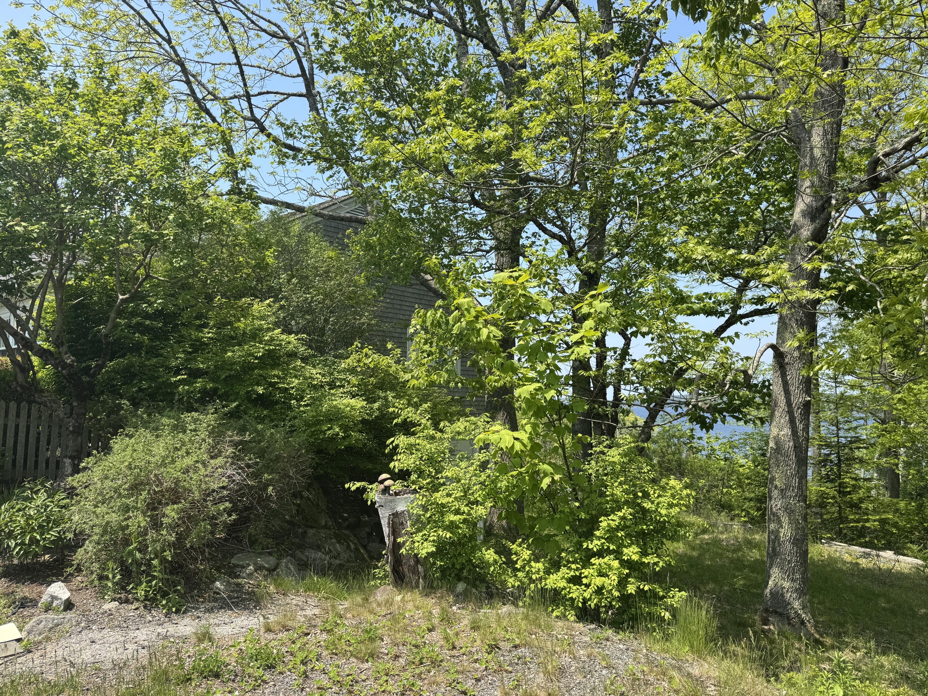 36 Wiegand Place Deer Isle ME 04650