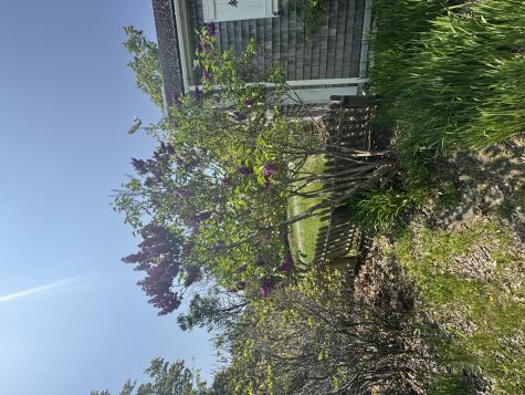 36 Wiegand Place Deer Isle ME 04650