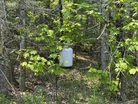 36 Wiegand Place Deer Isle ME 04650