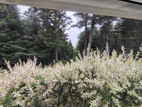 100 Weber Lane Calais ME 04619