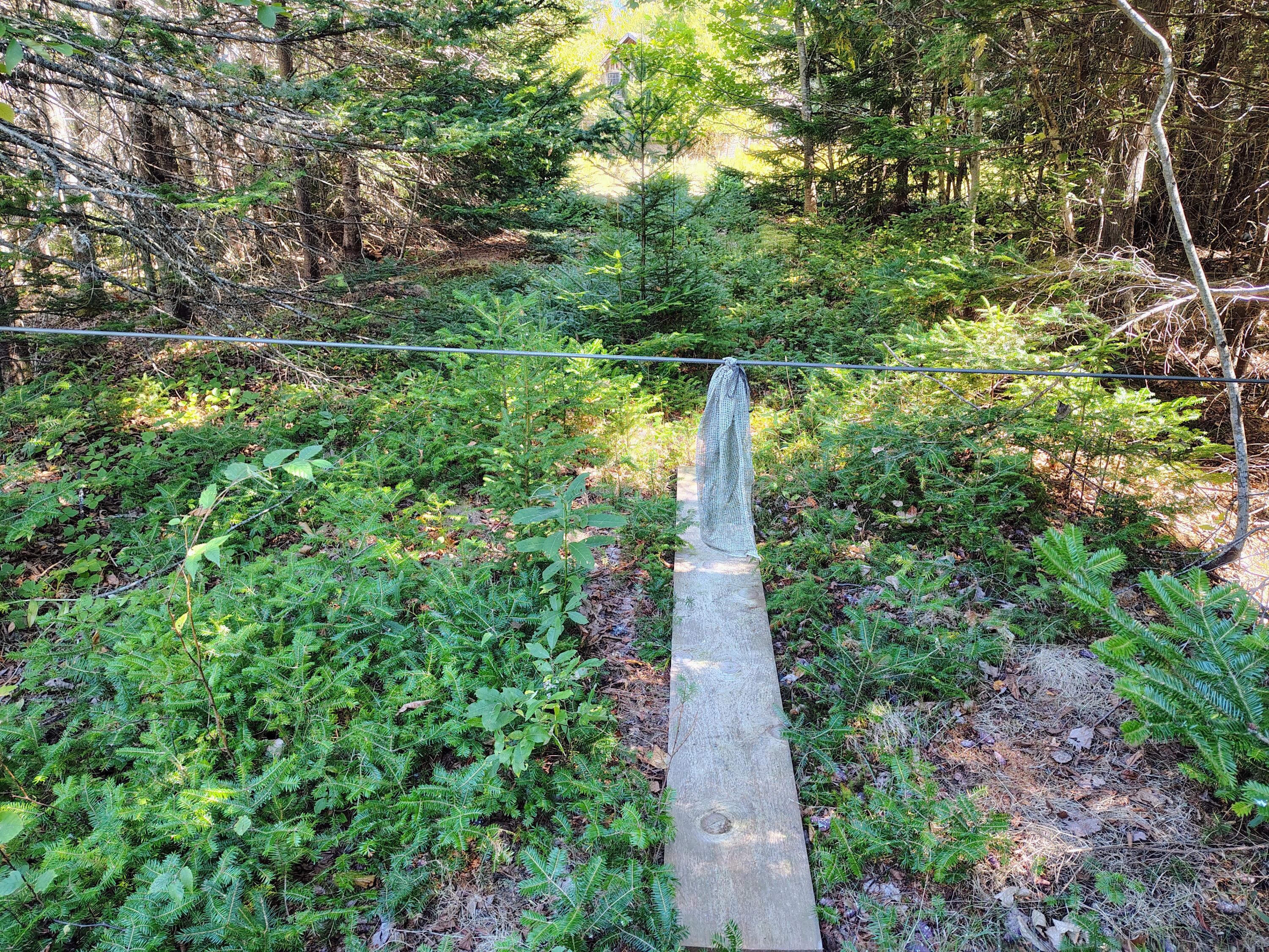 916 U.s. Route 1 Jonesboro ME 04648