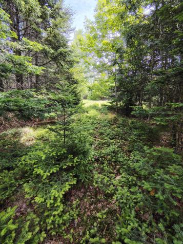 916 U.s. Route 1 Jonesboro ME 04648