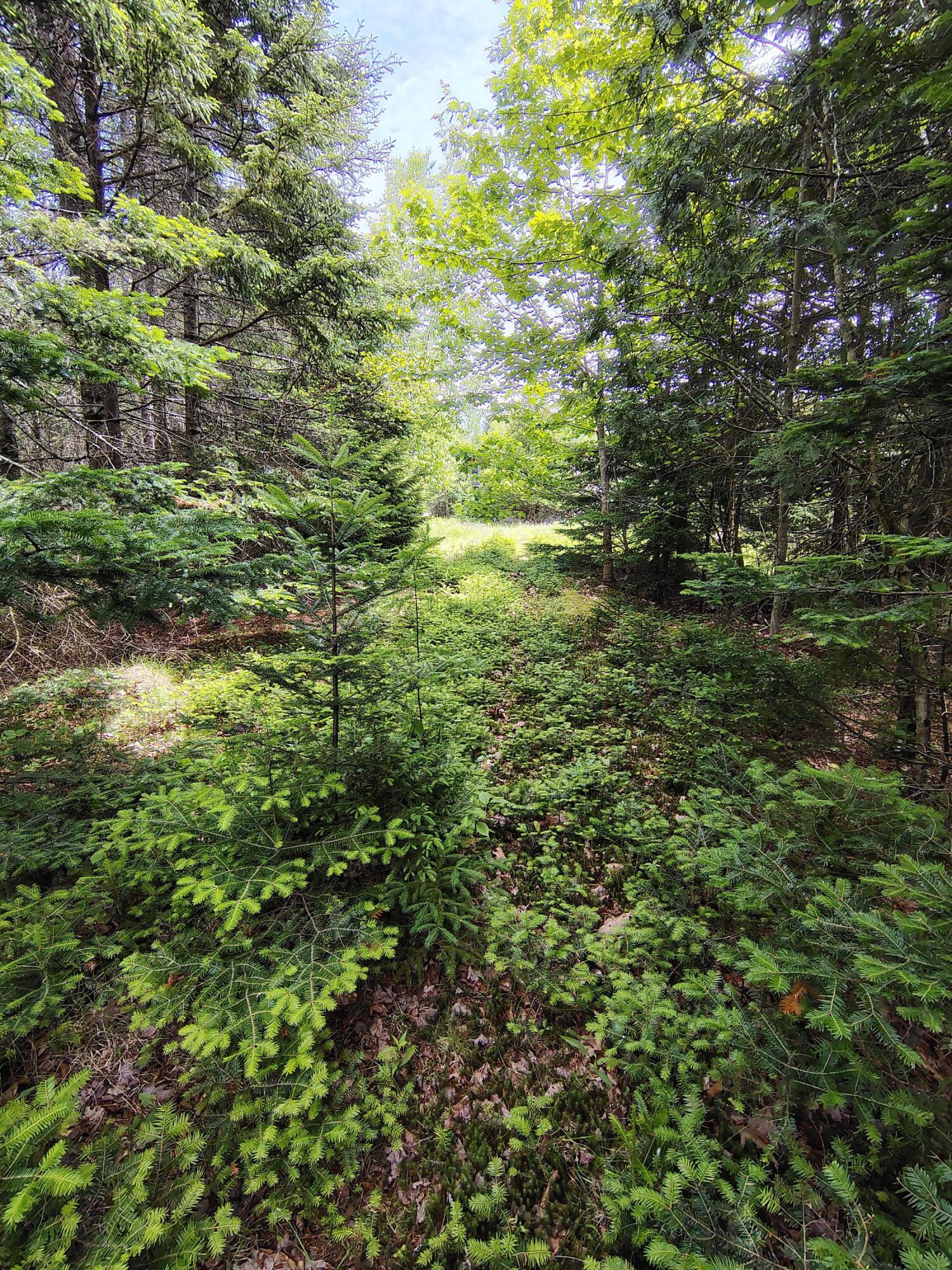 916 U.s. Route 1 Jonesboro ME 04648