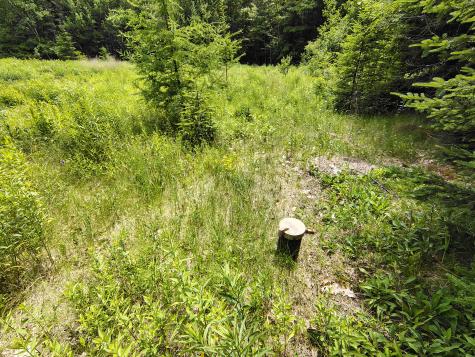 916 U.s. Route 1 Jonesboro ME 04648