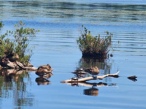 47 Briggs Lane Oxford ME 04270