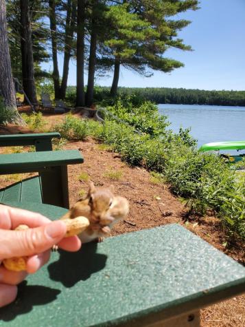 47 Briggs Lane Oxford ME 04270