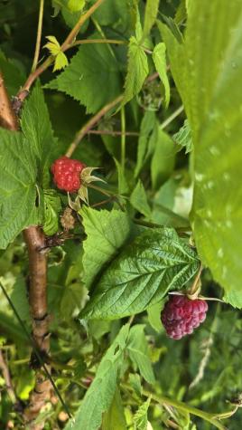 27 Mountain View Road Leeds ME 04263