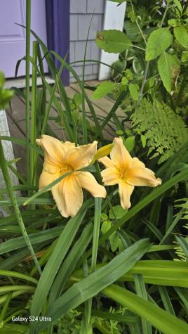 27 Mountain View Road Leeds ME 04263