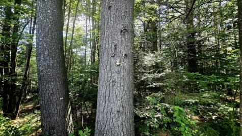 27 Mountain View Road Leeds ME 04263