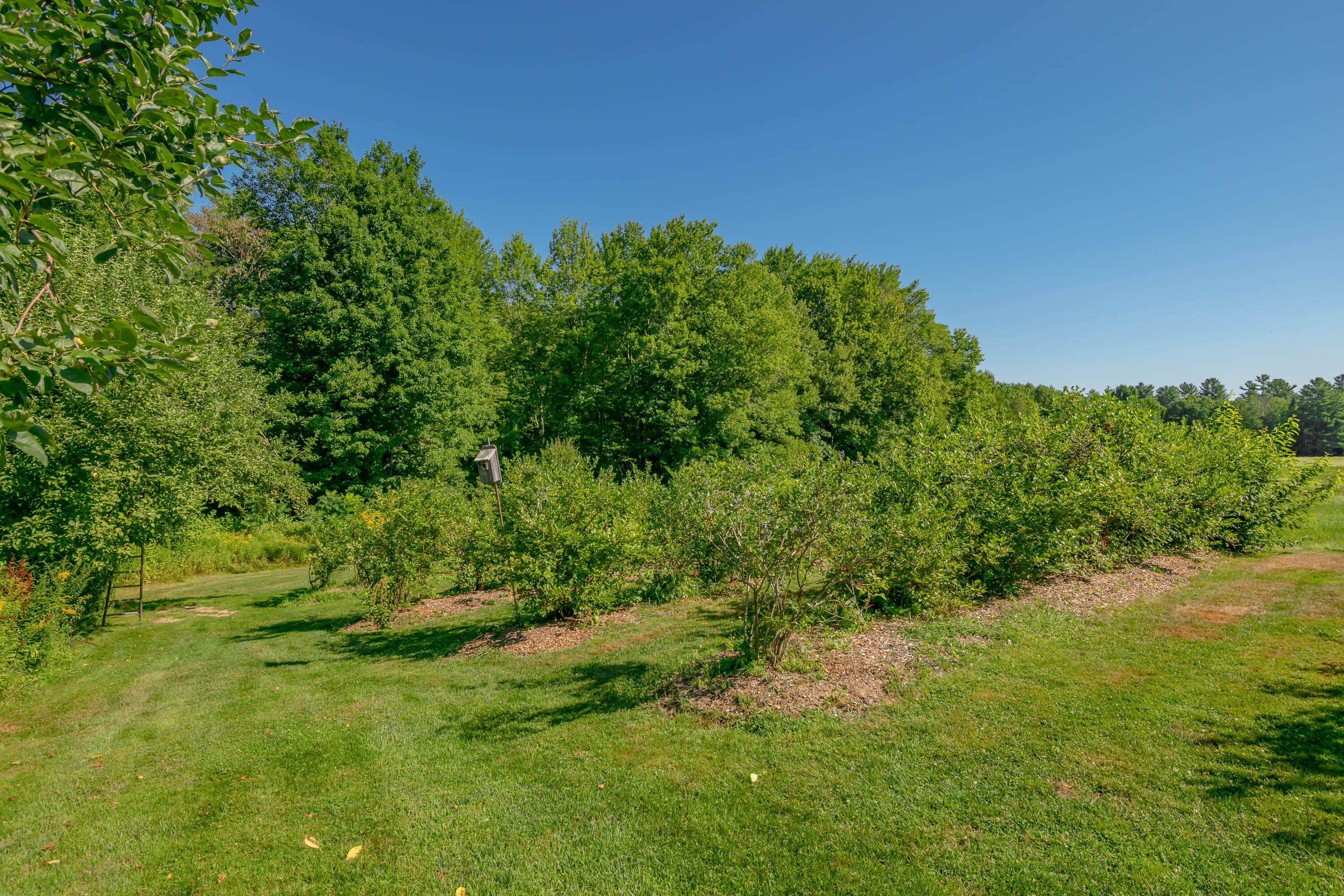 697 Fort Hill Road Gorham ME 04038