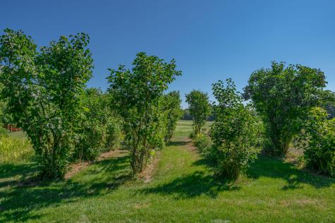 697 Fort Hill Road Gorham ME 04038