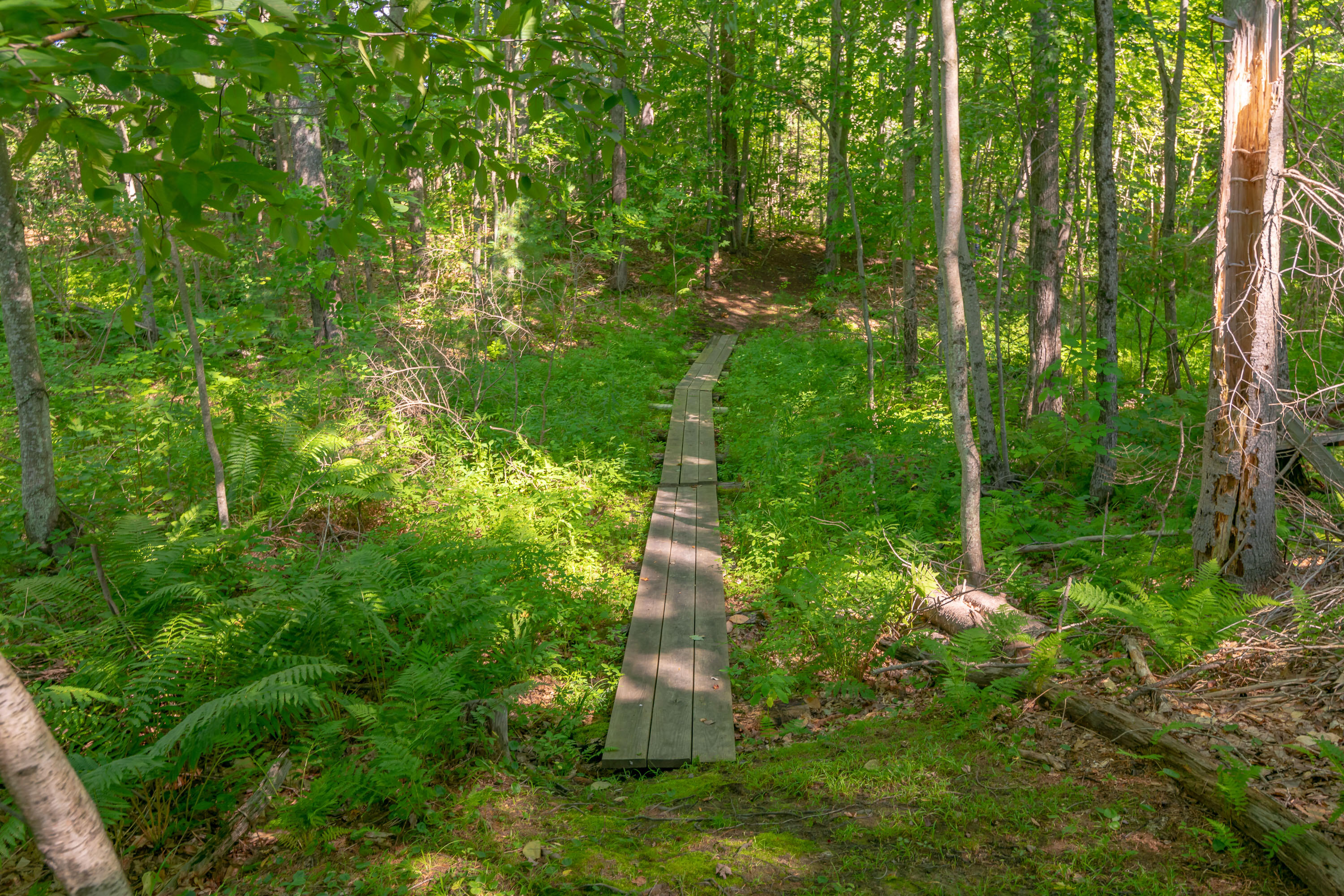 697 Fort Hill Road Gorham ME 04038