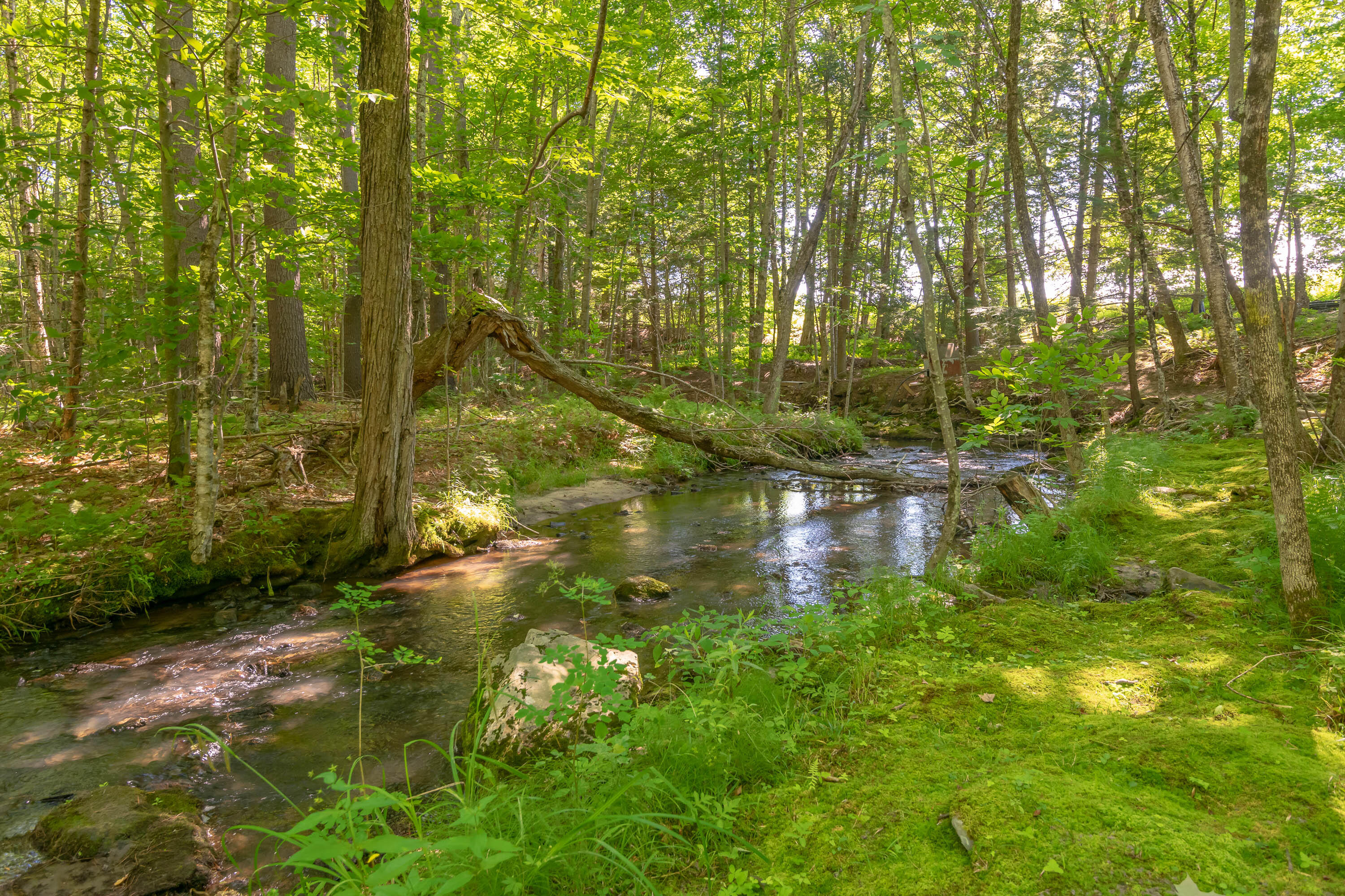 697 Fort Hill Road Gorham ME 04038