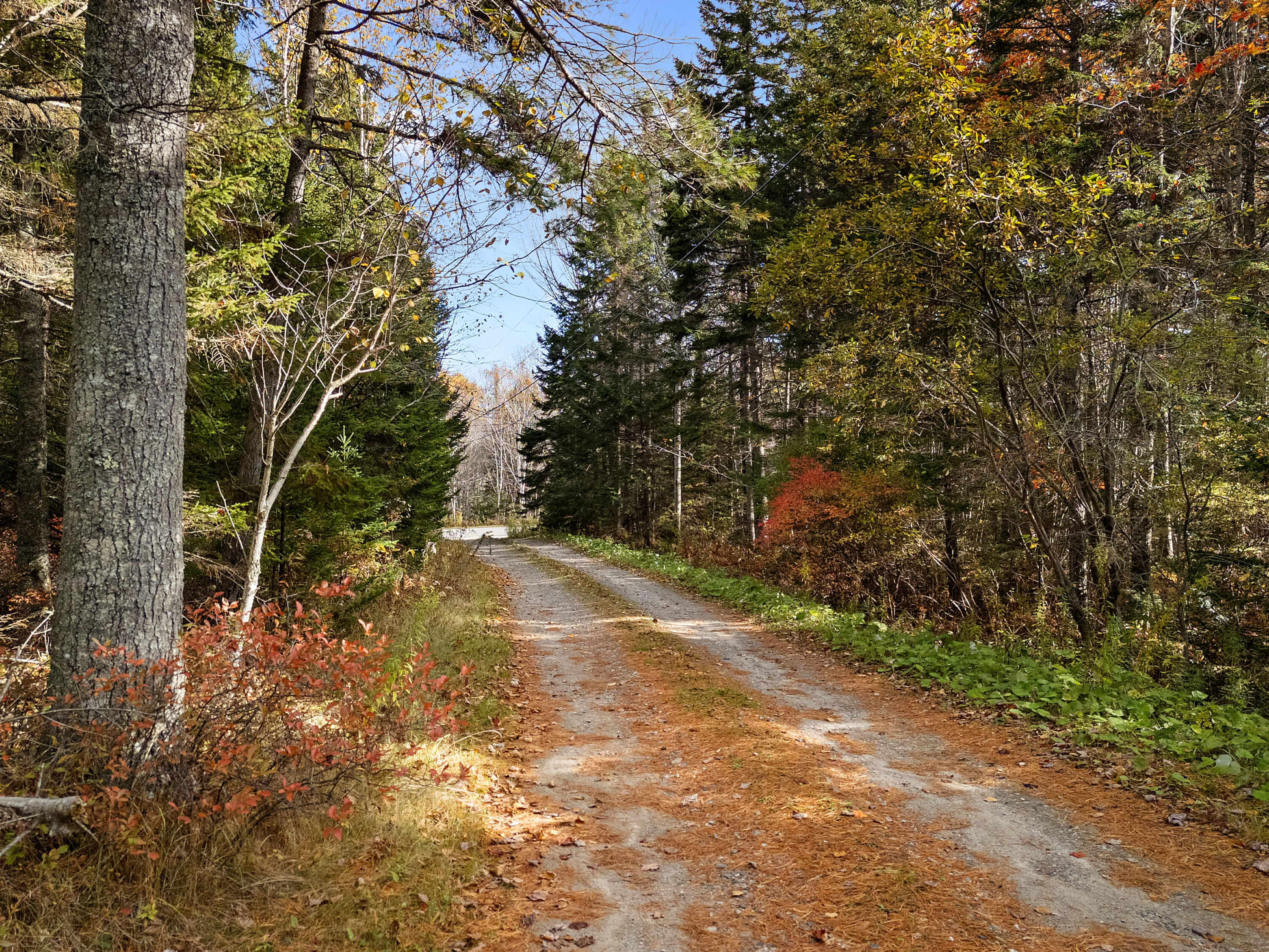 211 Turkey Cove Road Saint George ME 04860