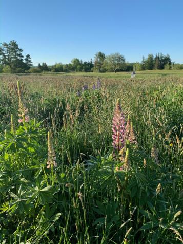 506 Baring Street Calais ME 04619