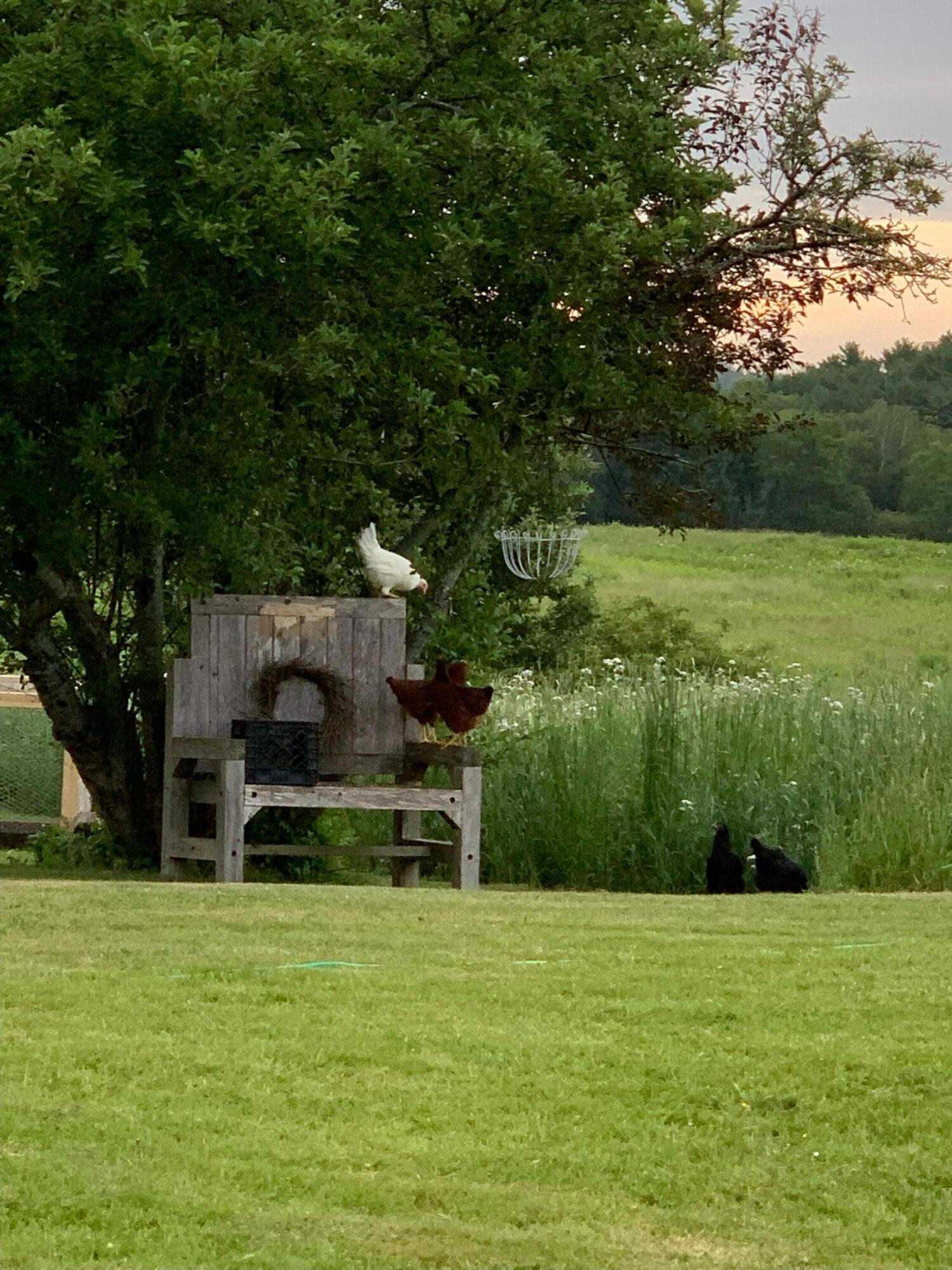 506 Baring Street Calais ME 04619