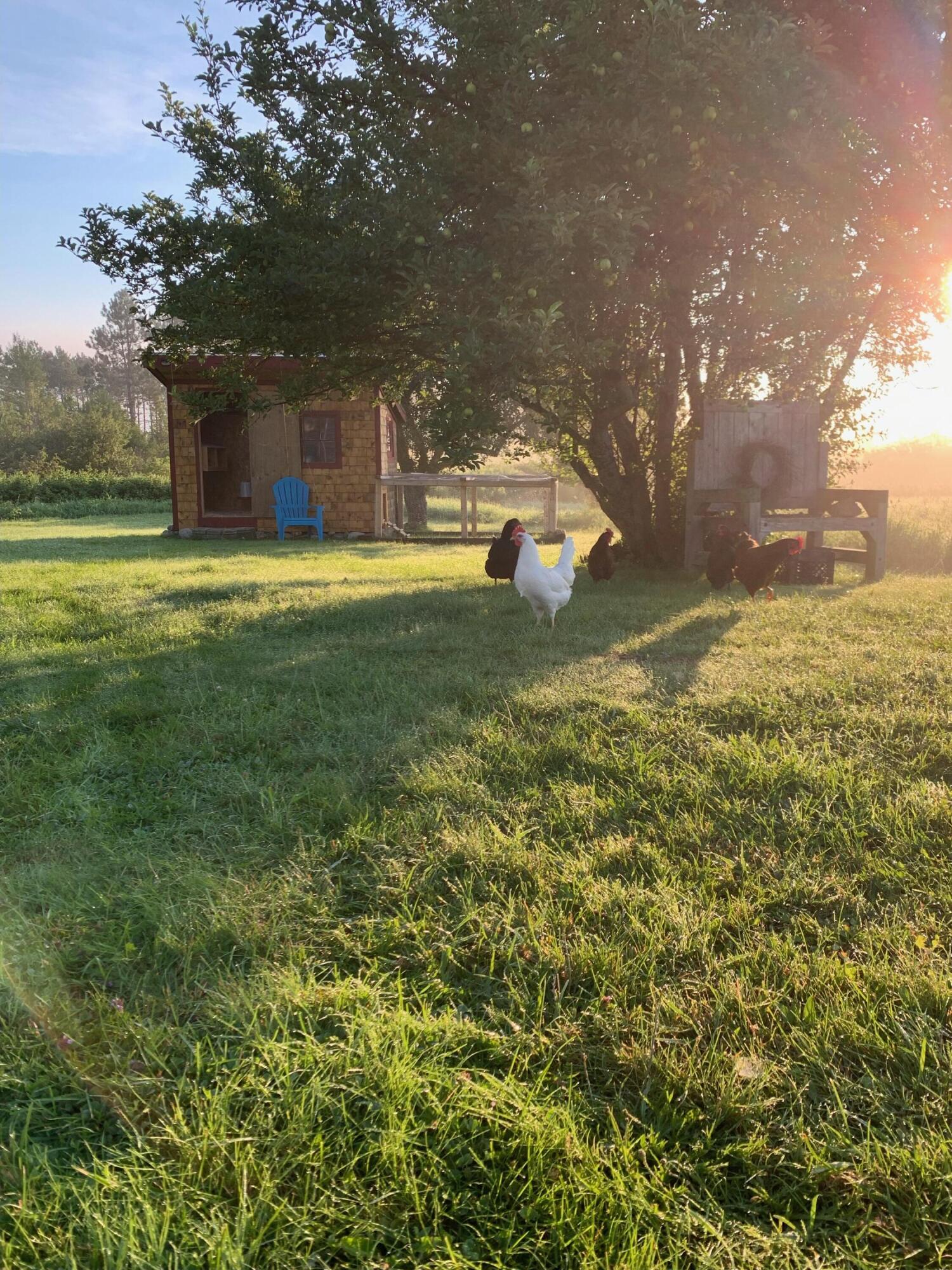 506 Baring Street Calais ME 04619