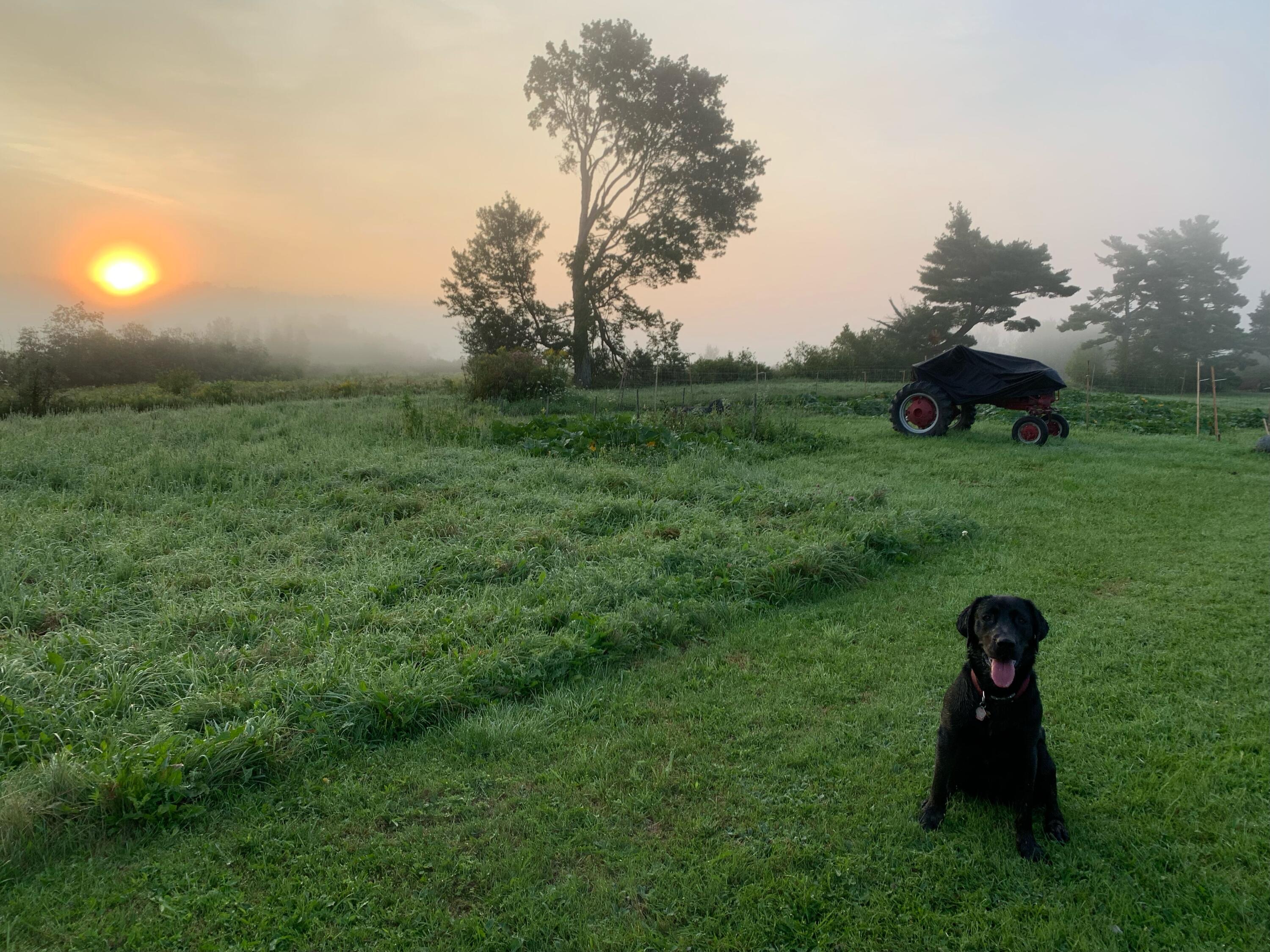 506 Baring Street Calais ME 04619