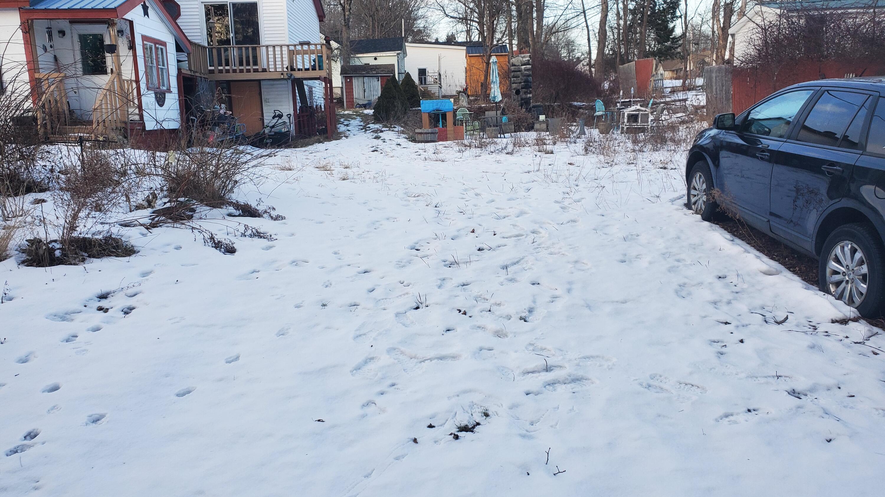 29 Oak Street Bucksport ME 04496