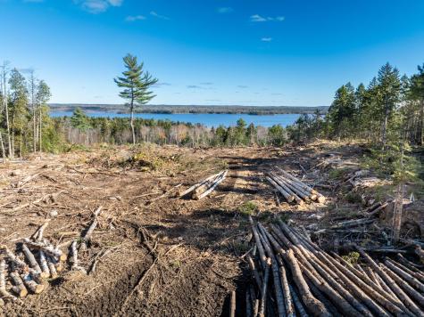 177 Means Cottage Road East Machias ME 04630