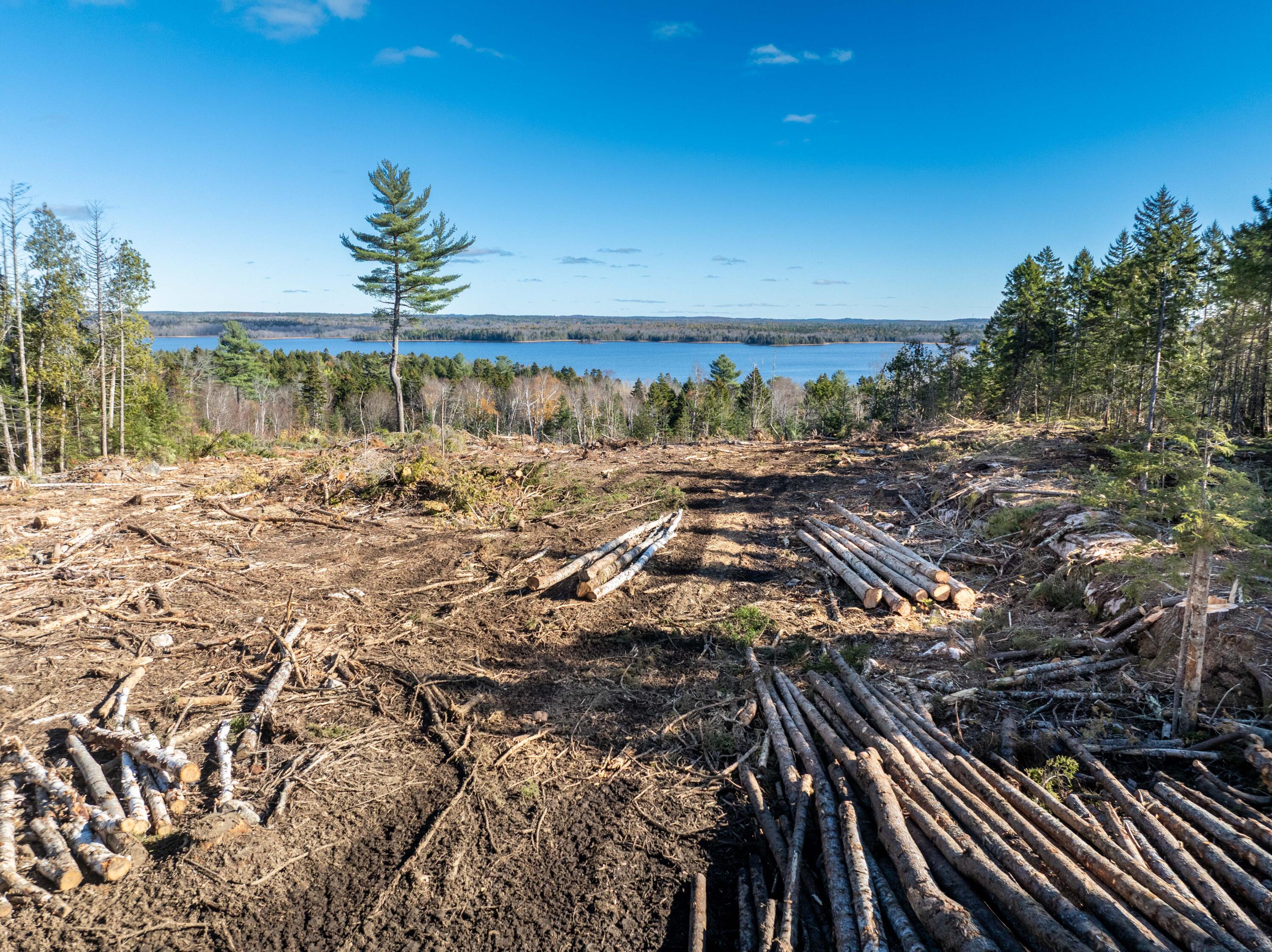 177 Means Cottage Road East Machias ME 04630